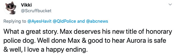17-year-old-deaf-and-partially-blind-dog-leads-rescuers-to-toddler-missing-for-15-hours-and-becomes-a-honorary-police-dog-01-2