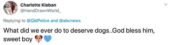 17-year-old-deaf-and-partially-blind-dog-leads-rescuers-to-toddler-missing-for-15-hours-and-becomes-a-honorary-police-dog-01-5