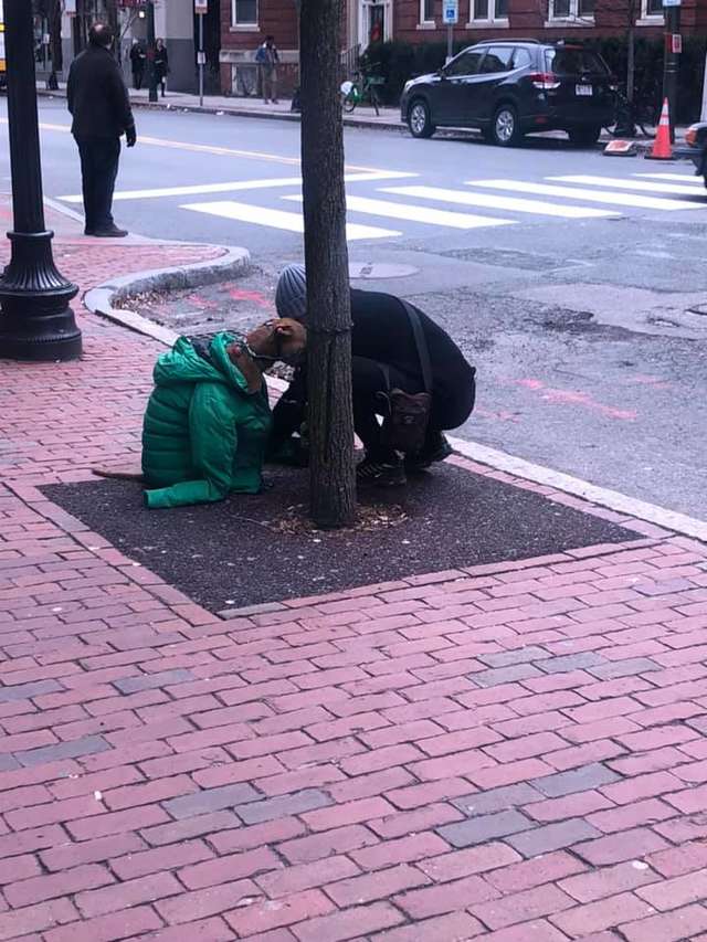 kind-woman-gives-her-own-jacket-to-shivering-dog-waiting-outside-the-post-office-03