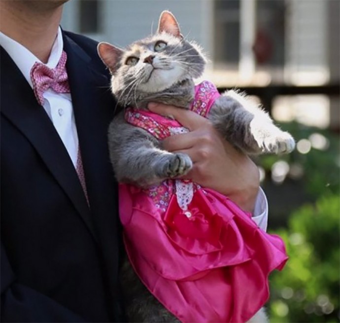 Cat Prom Dress