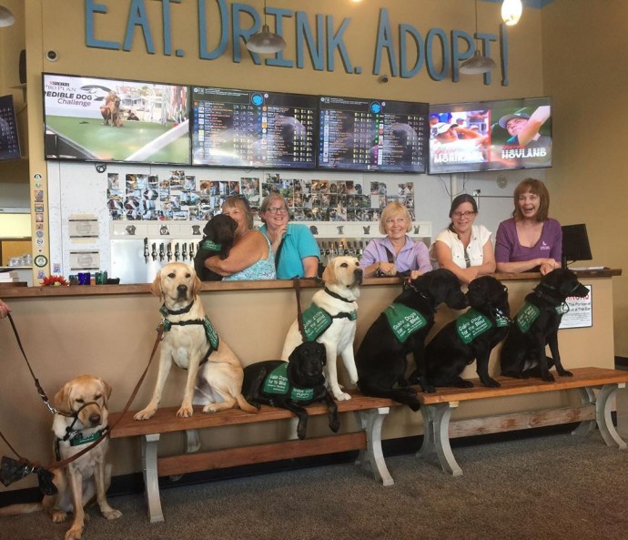 this-is-fido-s-the-world-s-first-tap-house-where-you-can-have-a-beer-and-meet-foster-dogs-up-for-adoption-04