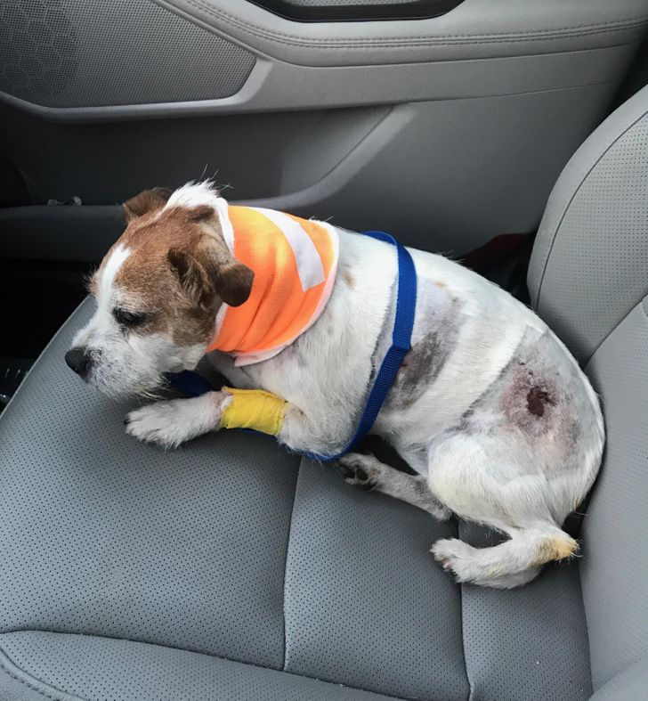 25 Photos That Can Melt Even a Frozen Heart