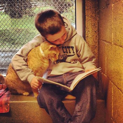 Деца четат приказки на кучета и котки, за да ги успокоят Деца четат приказки на кучета и котки, за да ги успокоят