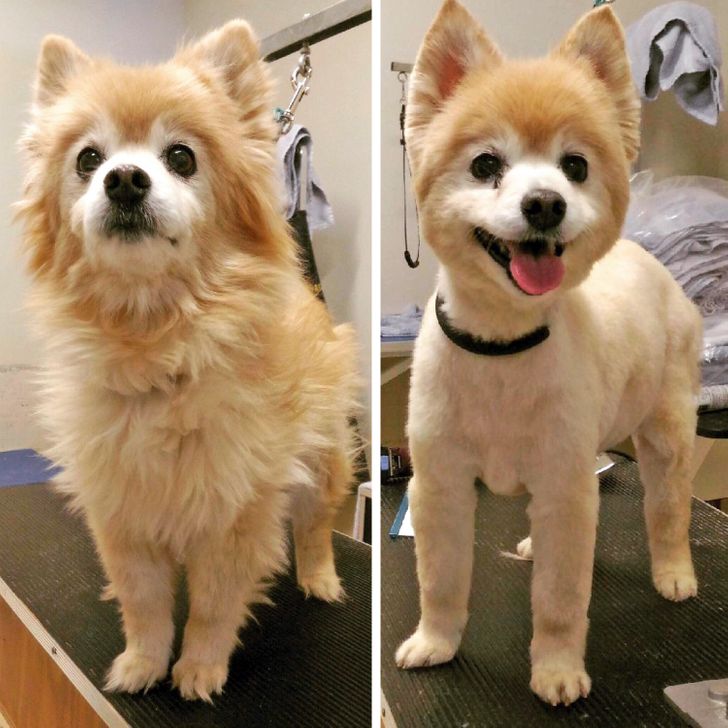 25 Photos That Can Melt Even a Frozen Heart