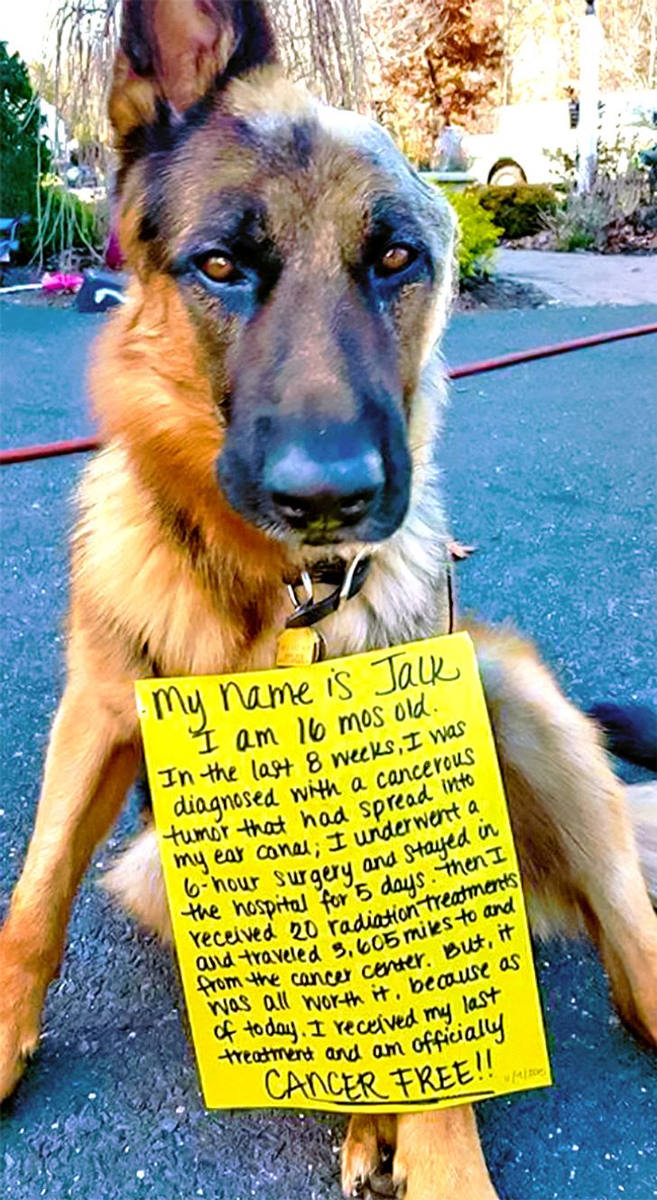 25 Photos That Can Melt Even a Frozen Heart