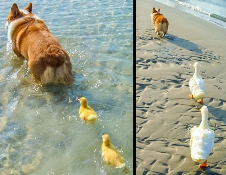 25 Photos That Can Melt Even a Frozen Heart