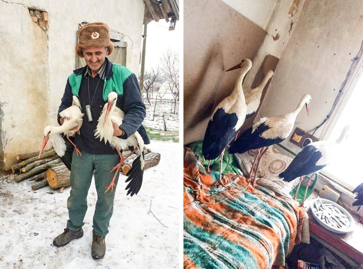 25 Photos That Can Melt Even a Frozen Heart