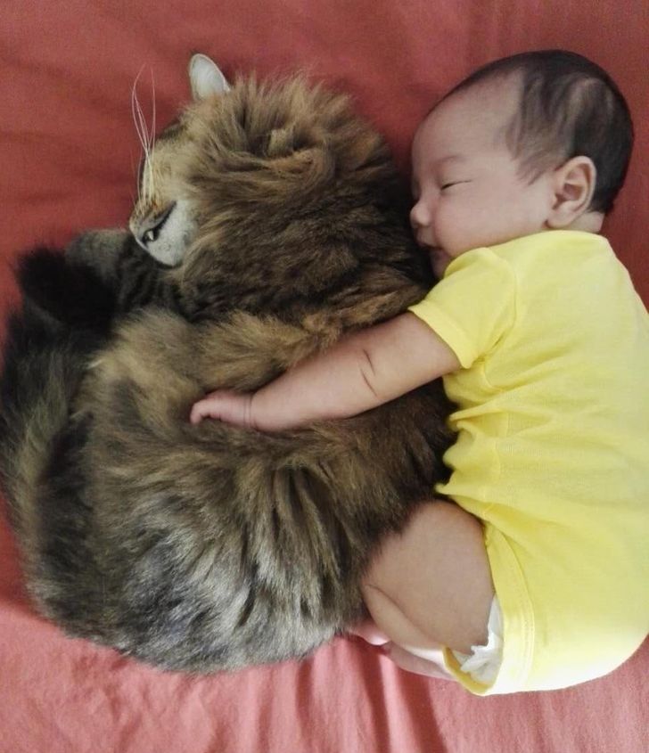 25 Photos That Can Melt Even a Frozen Heart