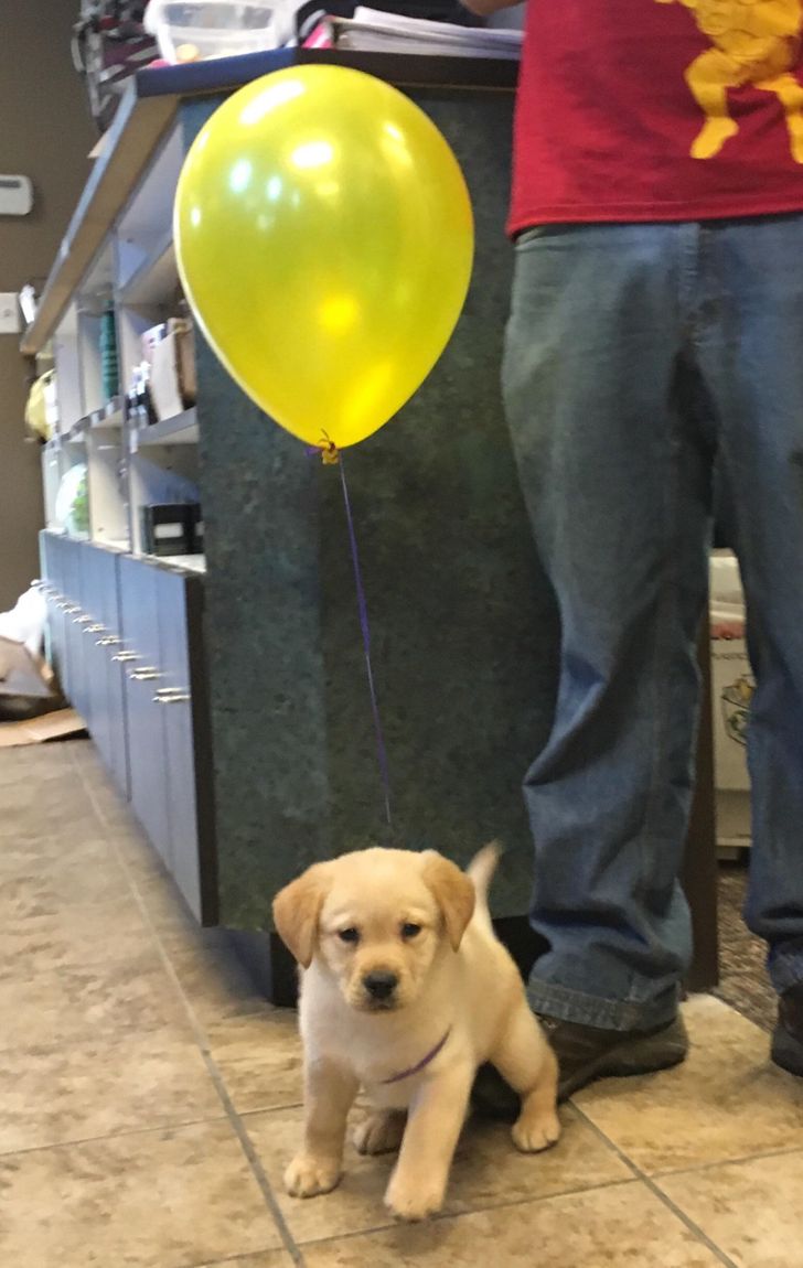25 Photos That Can Melt Even a Frozen Heart