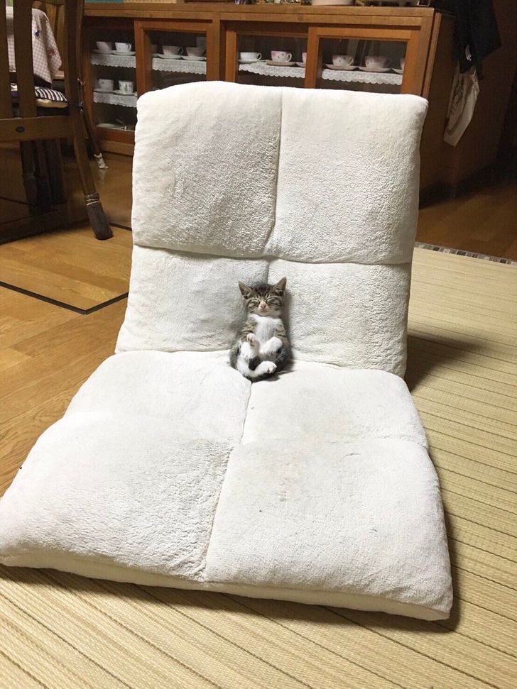 25 Photos That Can Melt Even a Frozen Heart