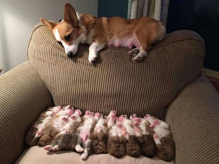 25 Photos That Can Melt Even a Frozen Heart