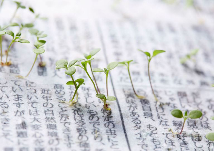 Amazing Newspaper That Becomes a Plant is Coming From Japan – Jinja