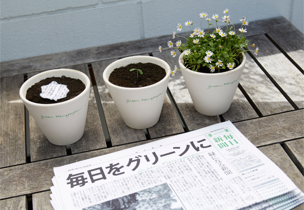 Conheça o jornal japonês que vira planta após ser descartado na terra |  CicloVivo