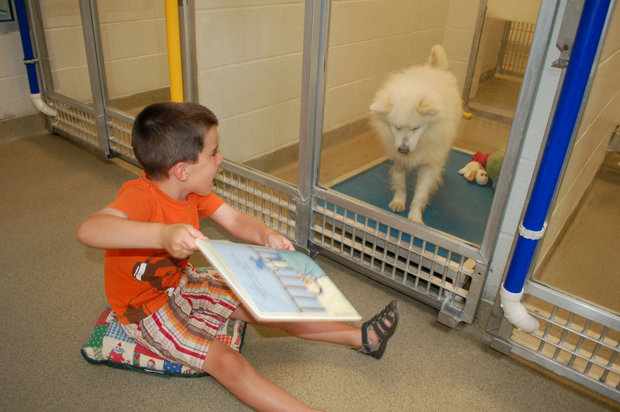 kids read shelter dogs human society of missouri 8