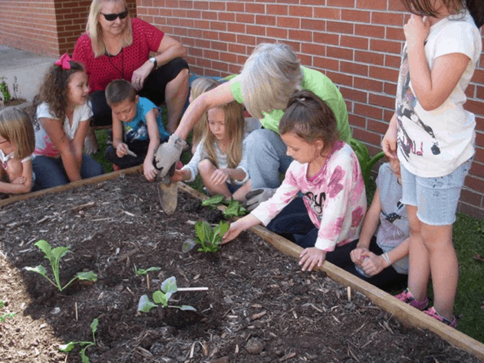 Feed Fannin Supports Gardening Education in Our Schools – Feed Fannin
