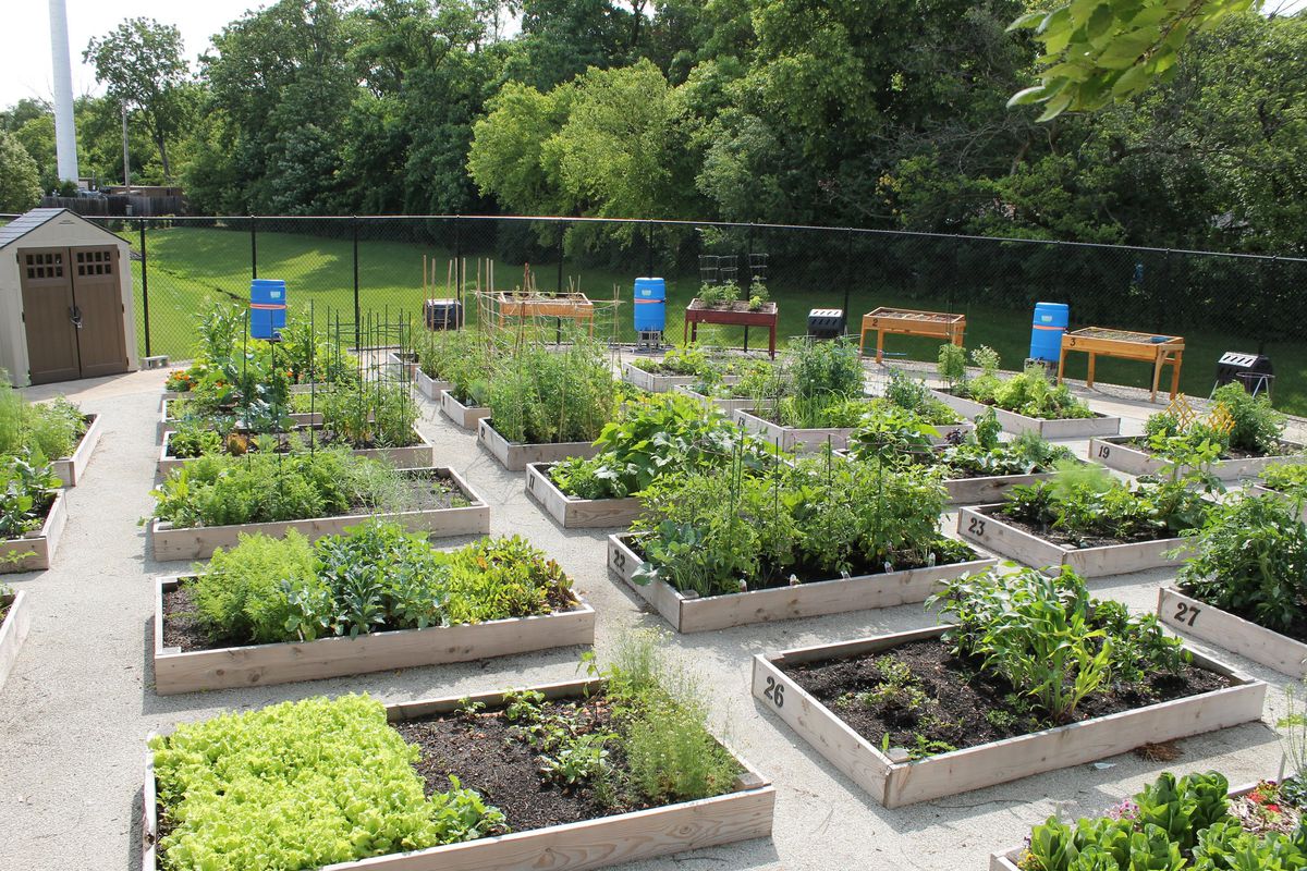 Dreaming of summer? Apply for a plot at Niles community garden through March 20 - Chicago Tribune