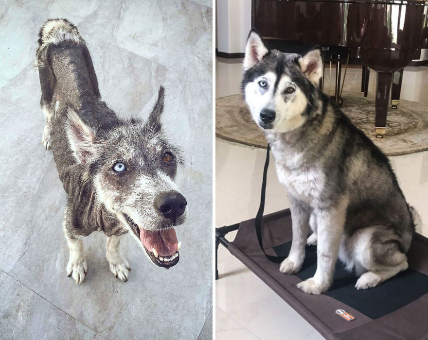 Before And After Adoption
