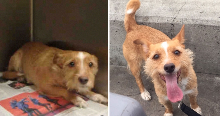 My Name Is Rey! I Was On Death Row Yesterday But Today I'm A Free Woman!