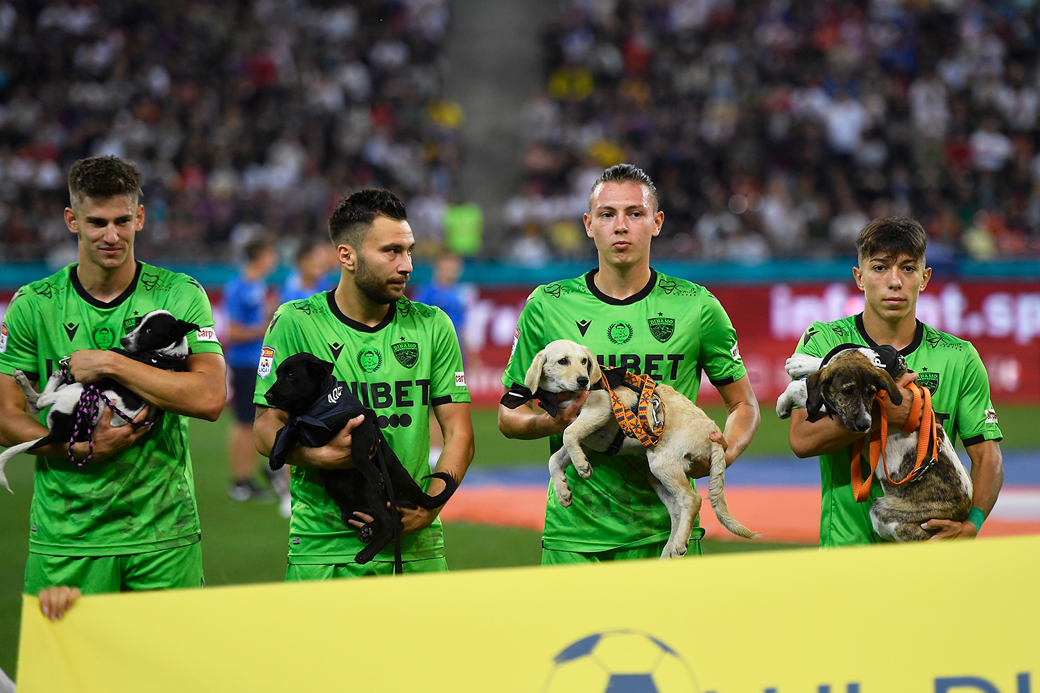 Catalin Itu, Alexandru Rauta, Deniz Giafer and Costin Amzar hold dogs in action during the Romania Liga 1 game between FCSB and Dinamo Bucharest, played on Arena Nationala, in Bucharest, on Sunday 12 September 2021.