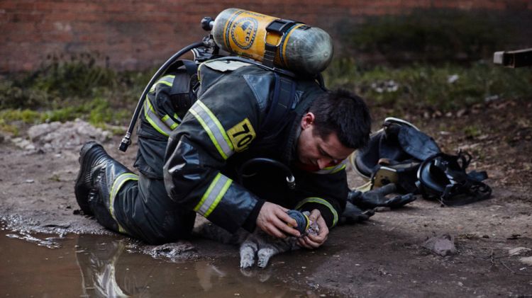 Russian firefighter saved cat from death by giving oxygen - VIDEO