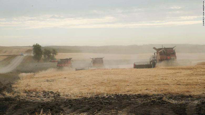 Some of the 11 combines at work harvesting Lane Unhjems farm near Crosby, North Dakota.