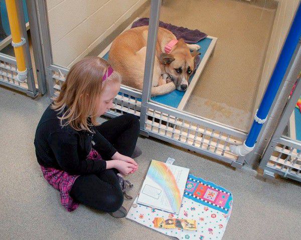 Kids Reading to Shelter Dogs Help Both Gain Confidence – Dogster