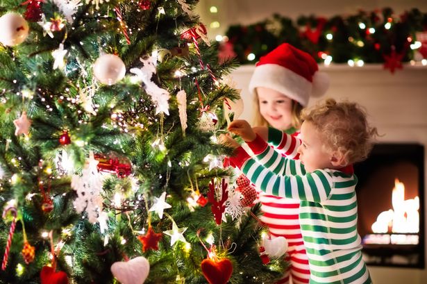 When should you put up your Christmas tree? Our tree guide has the answers  - and some advice - Chronicle Live