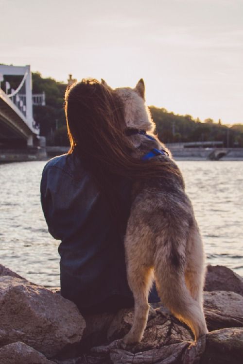 Imagine... | Dog photography, Dog photoshoot, Dog tumblr