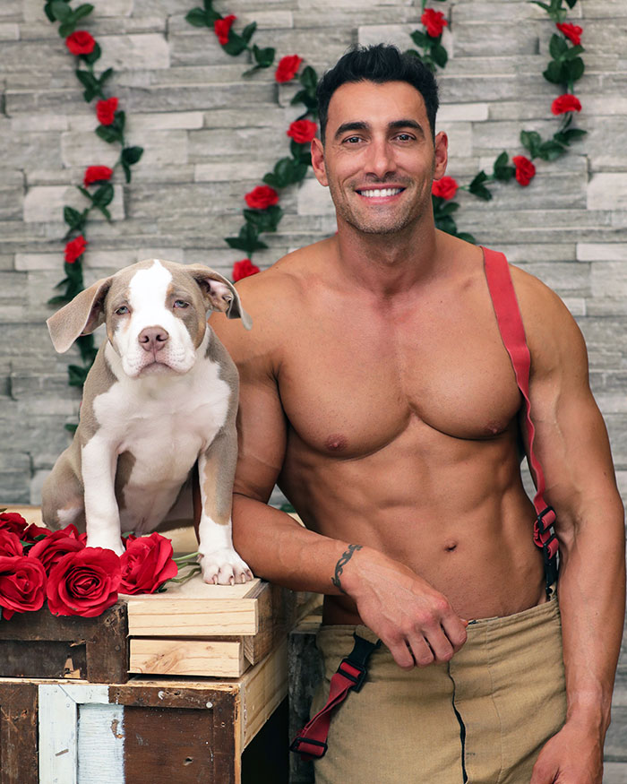 Australian-Firefighters-Charity-Animals-Calendar-2022