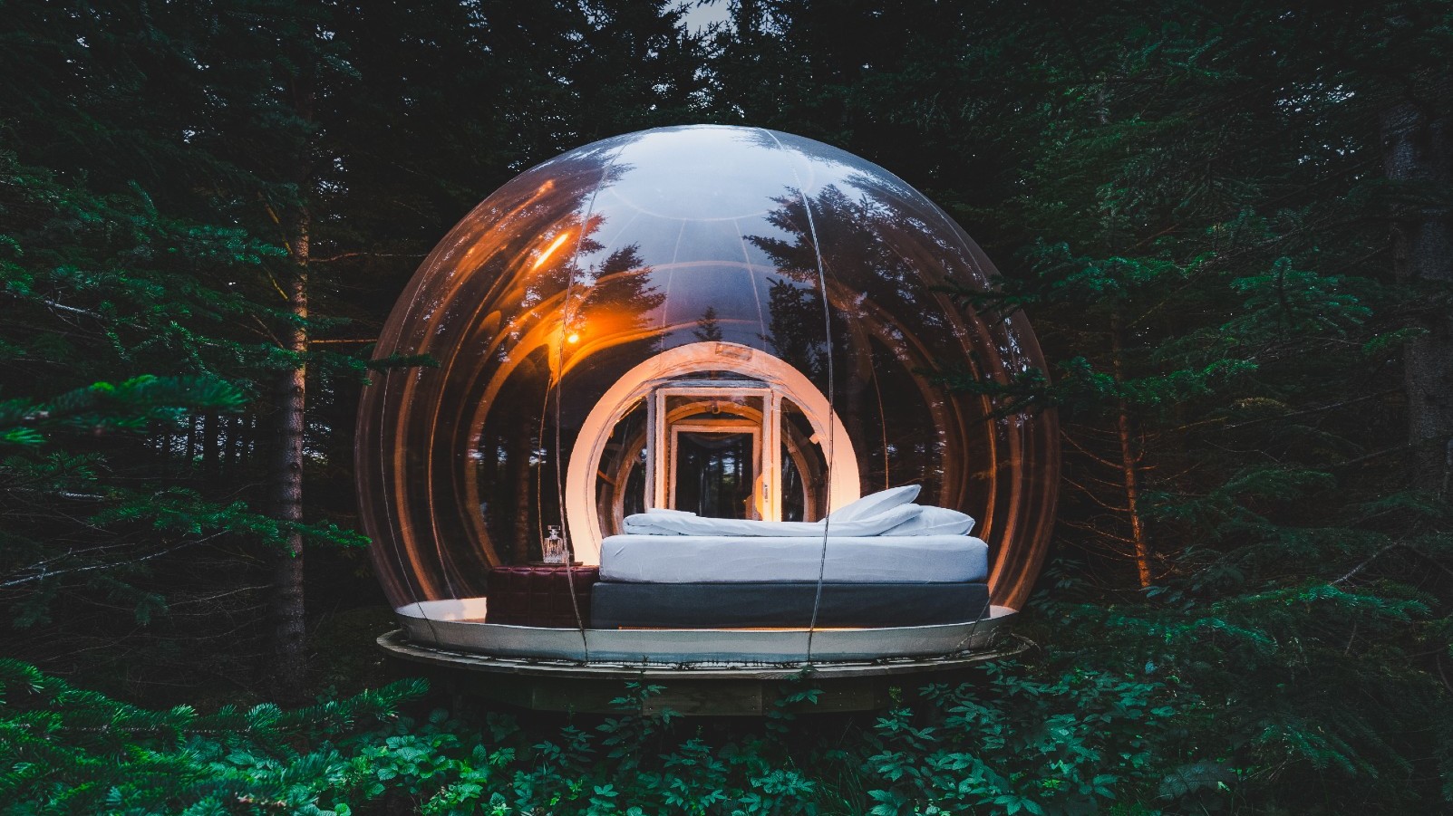 Winter tours - Buubble