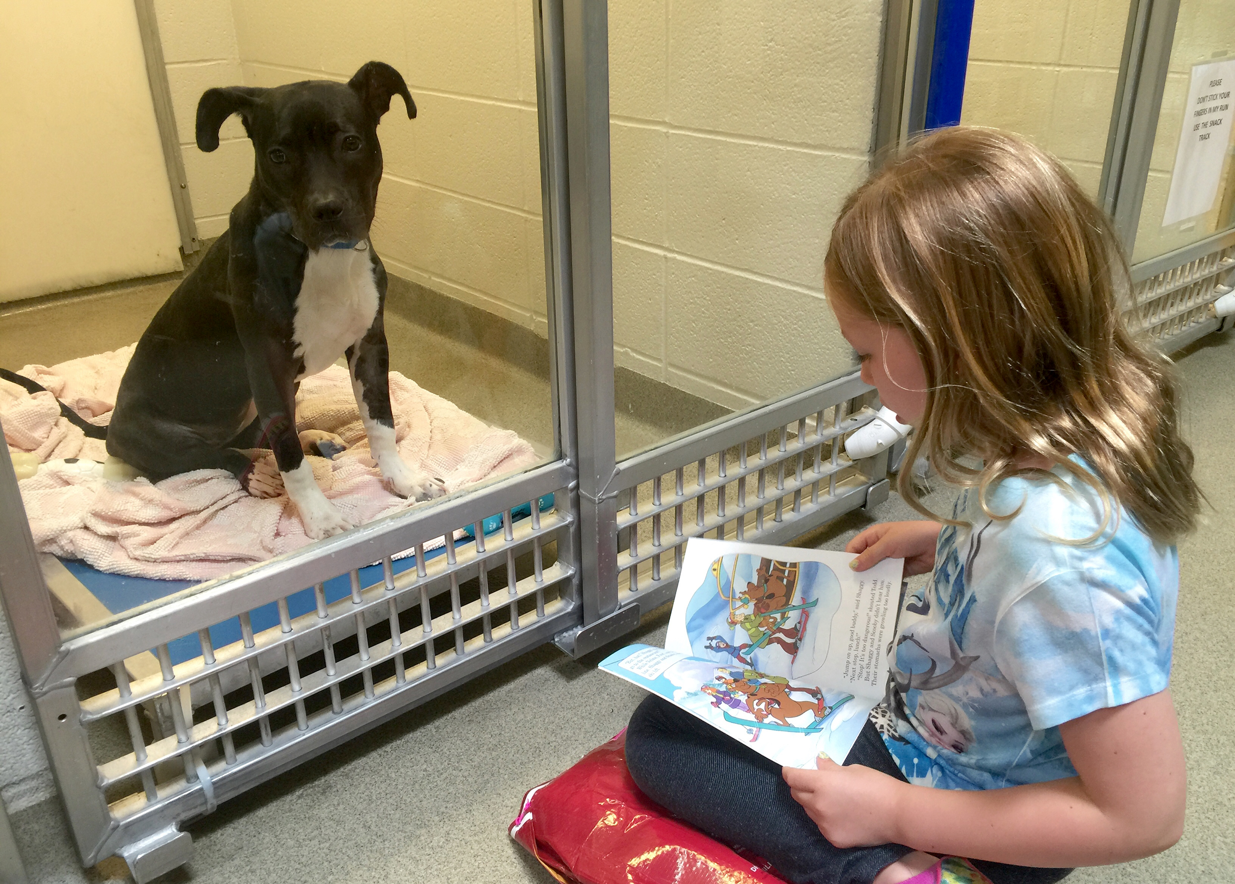 Kids get shelter dogs' tails wagging by reading them tales