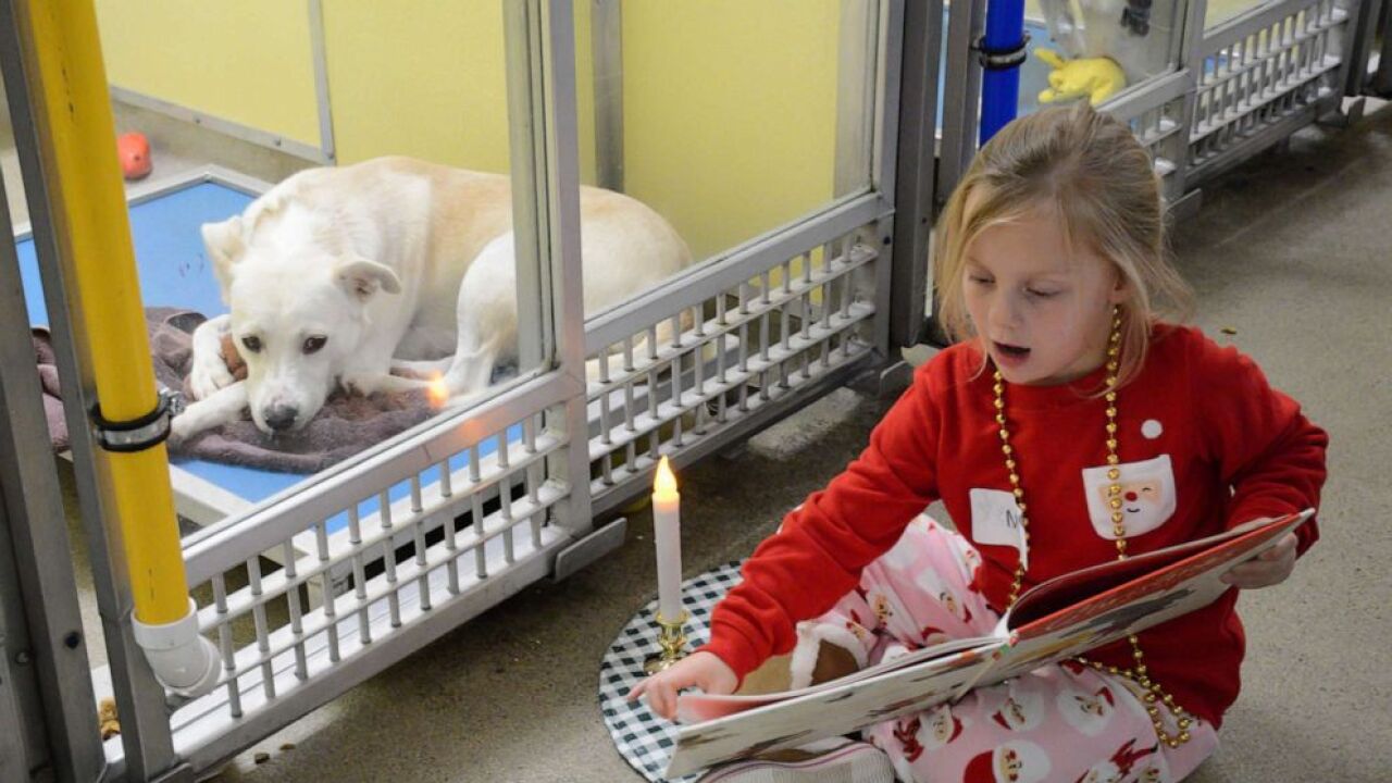 Kids reading to shelter dogs to help get them adopted