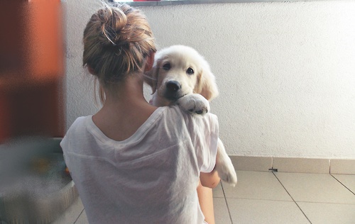 Girl and Puppy | via Tumblr on We Heart It