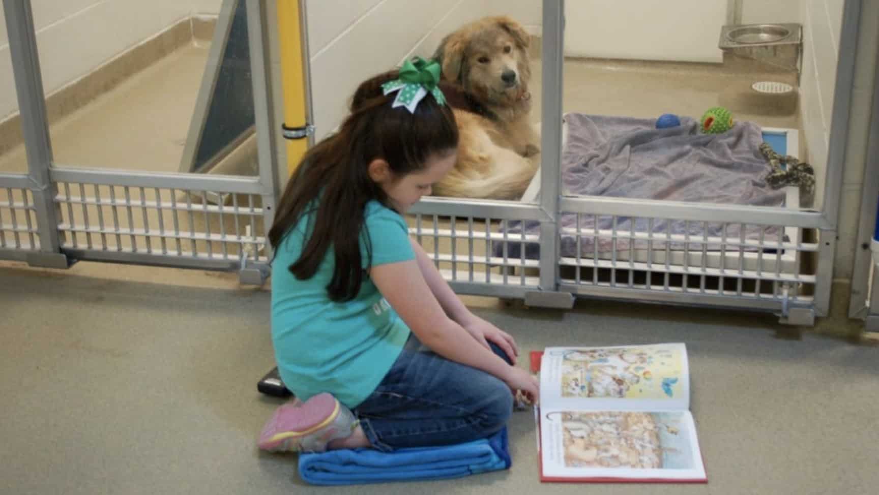 Kids read to dogs to help improve their verbal and reading skills