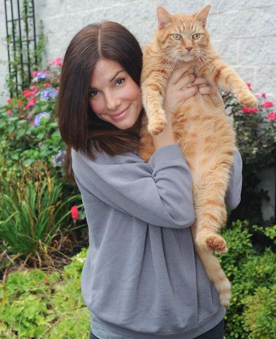 Sandra Bullock: Don't Mess With Our Girlfriend – WILL IT LAST?