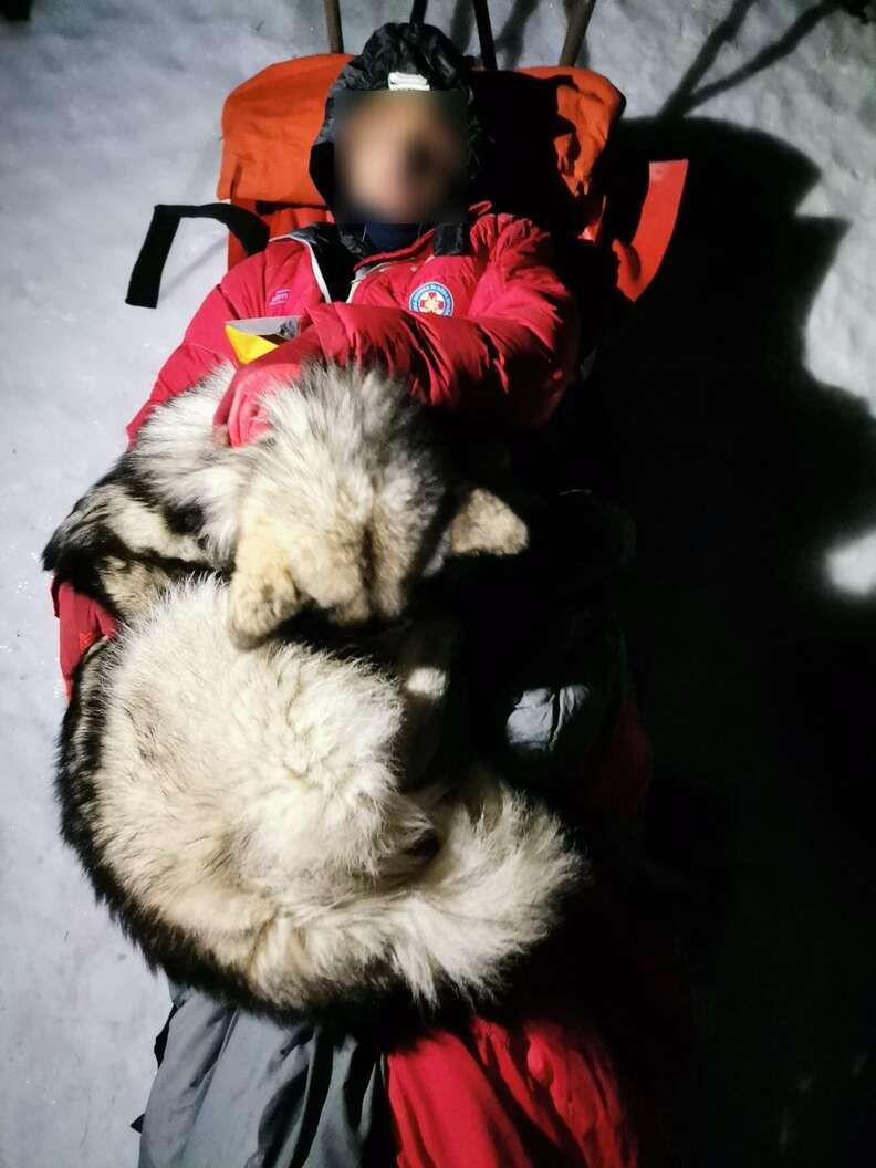 Dog keeps his injured owner warm