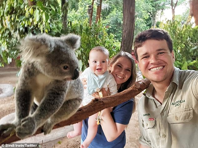 Bindi Irwin shares adorable pictures of daughter Grace Warrior, eight months, meeting a koala joey | Daily Mail Online