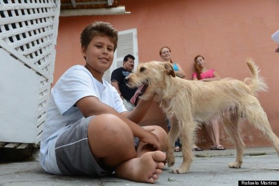 PHOTOS: 11-Year-Old Boy Rushes Into Traffic To Rescue Dog Hit By Car. What a wonderful hero this little boy is… | Amazing animal stories, Animal stories, Kids hero