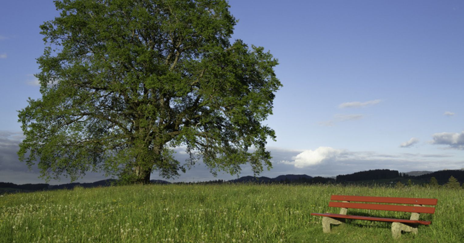 How Much Time in Nature Is Needed to See Benefits? | Psychology Today