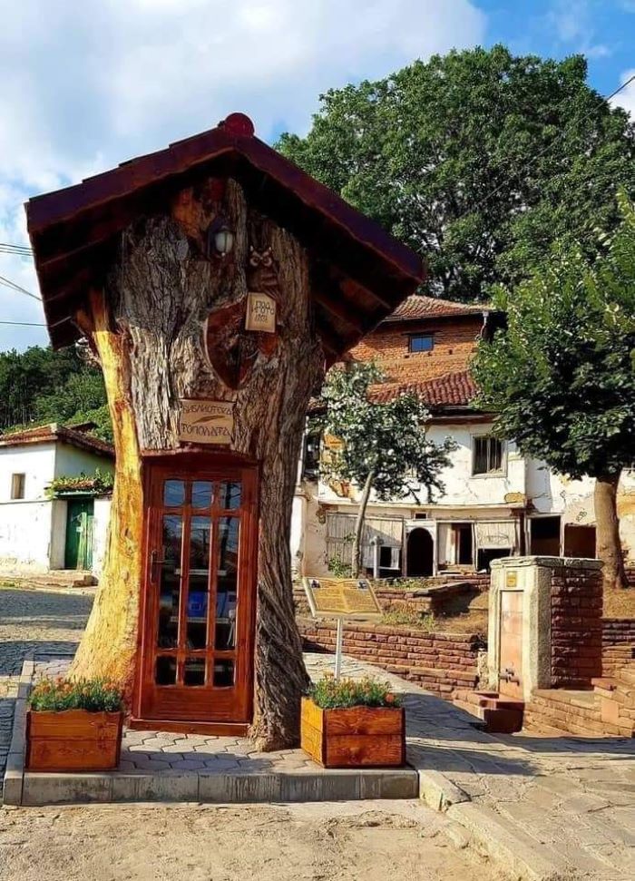 300-годишна топола в Сопот се превърна в библиотека - sliven-news.com