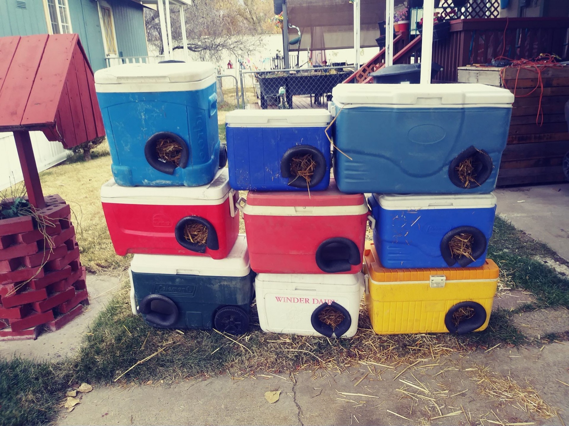 Man Turns Discarded Coolers Into Winter Shelters For Stray Cats