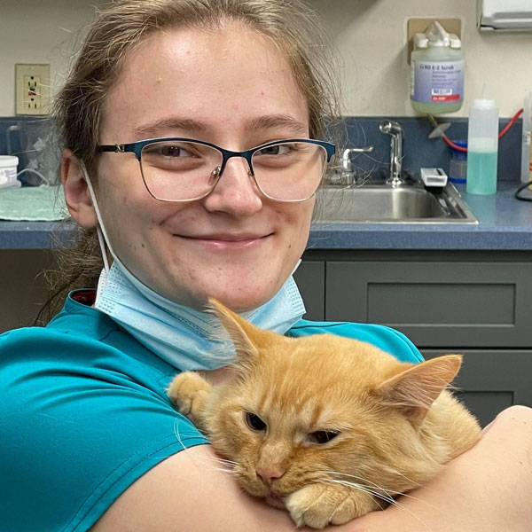 Cat Friendly - Vet in Olean | Haskell Valley Veterinary Clinic