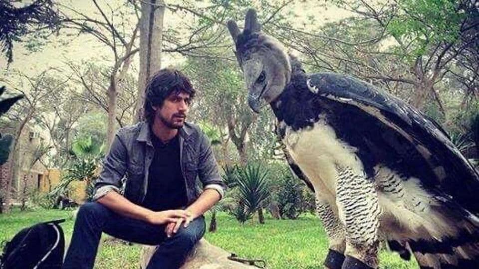 People think this huge eagle looks like a person in costume ...