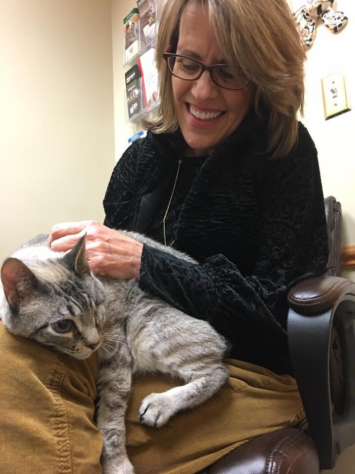After Waiting for 1.5 Years, 8-year-old One-eyed Cat Got His Wish This Christmas - Love Meow
