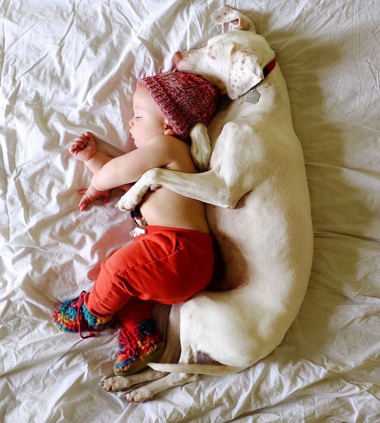 rescue dog love child nora elizabeth spence freeyork 1