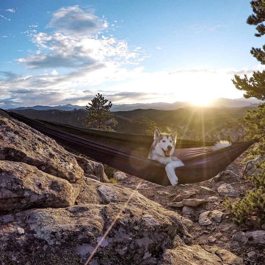 11-3