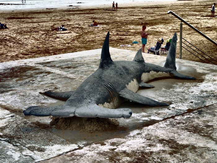 artist-creates-incredibly-detailed-sand-sculptures-that-look-like-real-animals-and-these-are-some-of-his-best-creations-08