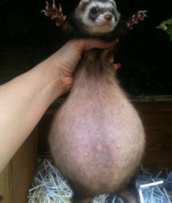 via: distractify.com