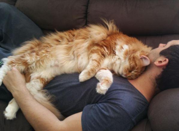 Omar is a much-loved family member.