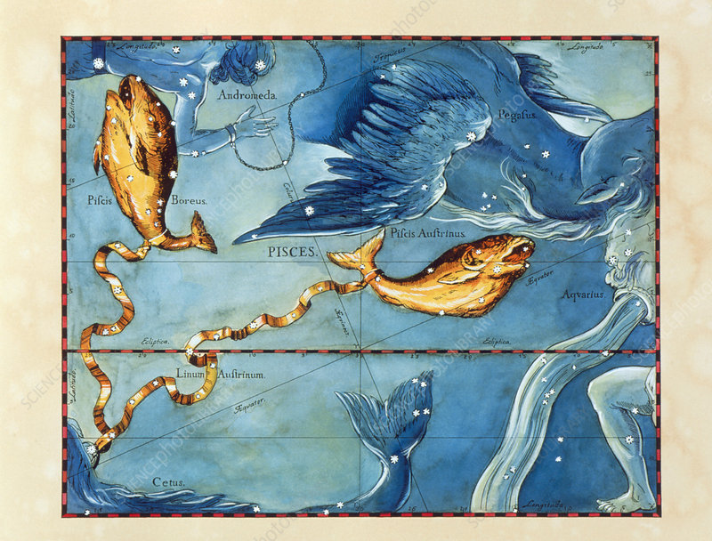 Historical artwork of the constellation of Pisces - Stock Image - R550/0340  - Science Photo Library